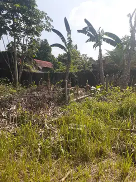 Tanah Luas di Krukut, Dekat Tol Cijago