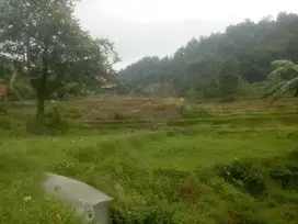 Tanah di Sentul City, View Bagus Dan Asri Luas 1 Hektar