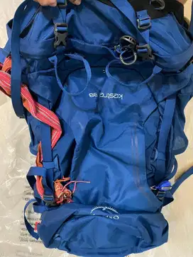 Osprey kestrel 38 2021
