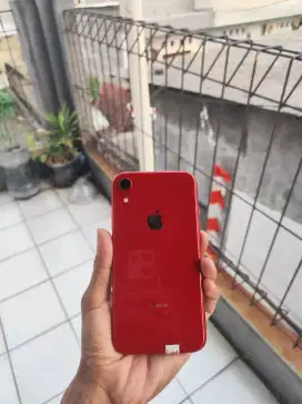 iPhone Xr 64Gb Merah