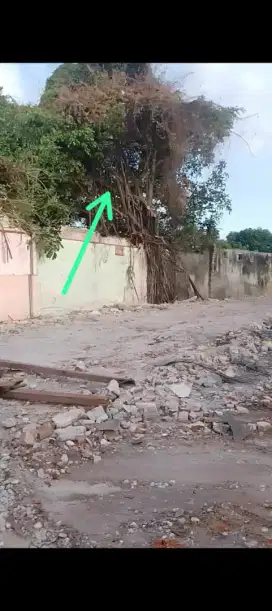 Kerjaan apa aja