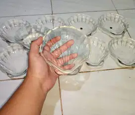 Piring kerang kaca