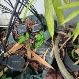 Planter bag diameter kurang lbh 55 cm
