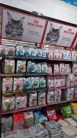 Ready Royal canin 2kg fresh