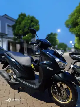 Yamaha freegoo s