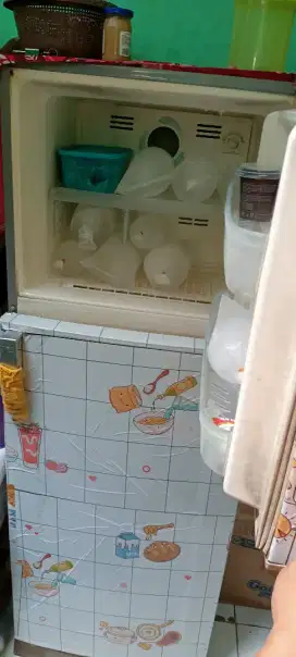 Elxtrolux minus pemakaian saja , ad double kulkas