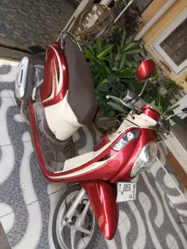Honda Scoopy plat T