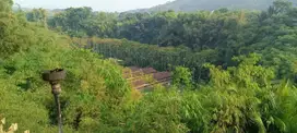 Dijual tanah di Cianjur, Ex peternakan ayam telur dan sapi perah