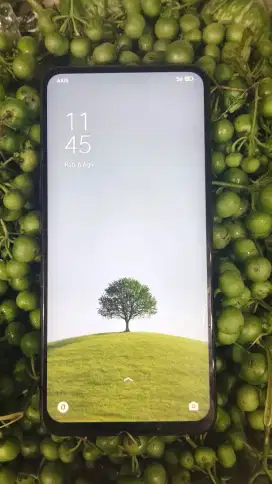 Oppo f11 pro ram 6 64