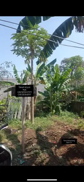 DIJUAL LAHAN TANAH