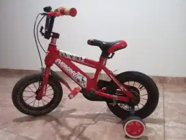 Sepeda Anak Evergreen Bekas
