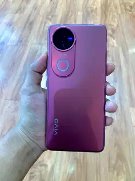 Vivo V50 5G 12/256GB Maroon