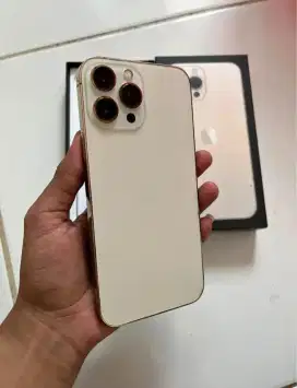 iPhone 13 promax 128 iBox Hb 100 gantian icolor