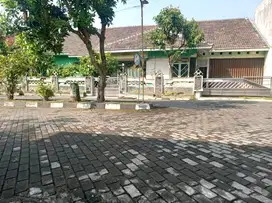 Rumah Halaman Luas di Griya Permata Hijau
