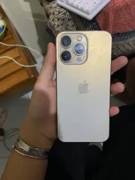 iphone 13 pro 256 gb