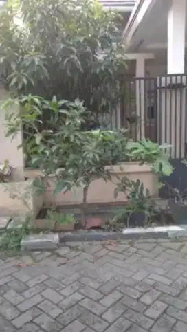 Rumah Villa Bogor Indah 5