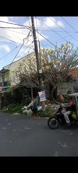 Dijual tanah murah,1,03 are di buduk bernasi dekat ke canggu dalung