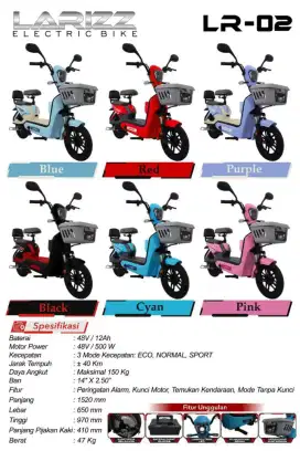 LARIZZ ELECTRIC BIKE LR 02