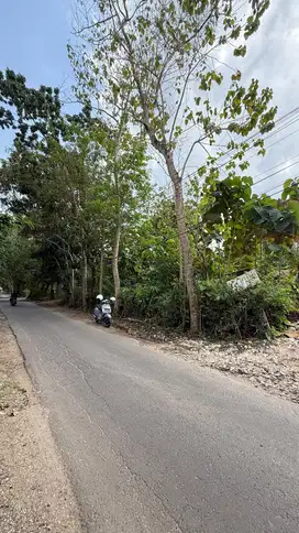 Dijual Tanah Jalan Utama Jl Gn Payung Kutuh Bali