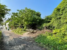 Tanah 450m2 di Batu Bolong Canggu Lingkungan Villa