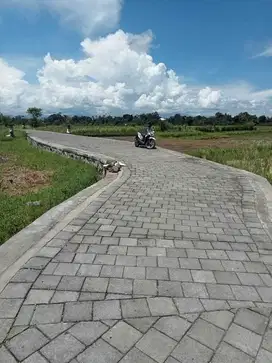 Jual tanah ubud singapudu kaler