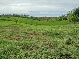 Di sewakan tanah di desa lumbung selemadeg barat Tabanan bali