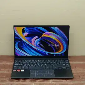 Asus ZenBook UM4251A AMD RYZEN 5-4500U RAM 8GB SSD 512GB IPS