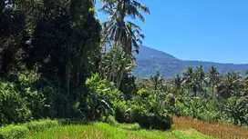 Dijual tanah murah view gunung dan laut di bali timur