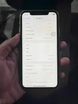iPhone Xr Inter Smartfren Only