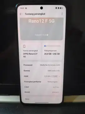 Oppo RENO 12F 5G 12/256