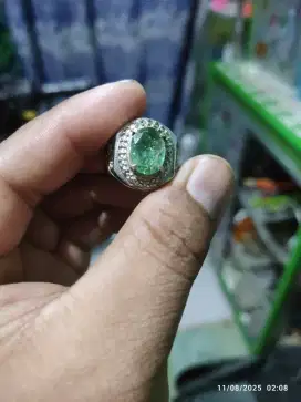 Batu Penunggalan Ortu.