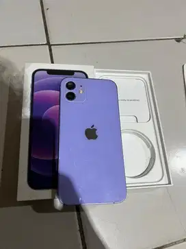 Iphone 12 ex ibox 256gb warna purple