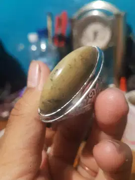 batu akik pandan fosilmliwung