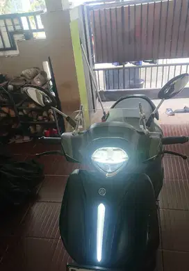 grand filano hitam