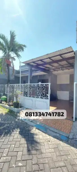 Di Kontrakan Rumah dengan lingkungan Asri