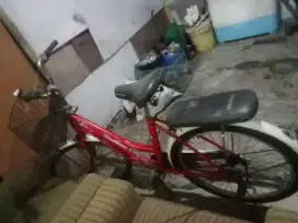 Speda ukuran 24 wimcycle