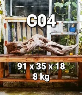 KAYU SANTIGI LAUT KAYU TENGGELAM HIASAN AQUARIUM KAYU AQUASCAPE