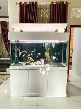 Dijual aquarium beserta isinya