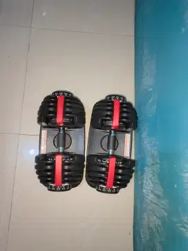 Adjustable Dumbell 2,5-24kg