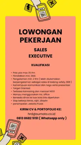 Sales Executive