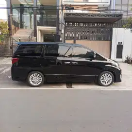 Alphard Sc Th 2013