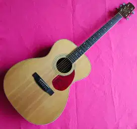 Segovia F07 GN akustik/elektrik