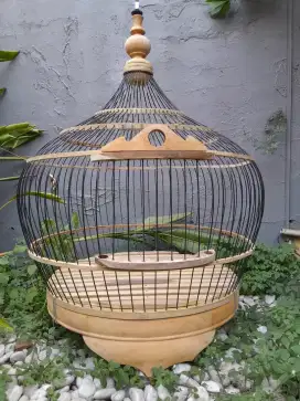 Kandang ayam hutan dan bekisar