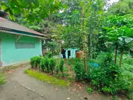 Dijual Tanah Luas 1170m² dengan SHM, Harga Rp 800.000/m²