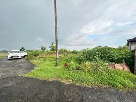 12 UNIT TANAH KAVLING PANDAK BANDUNG - KEDIRI - TABANAN