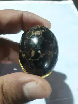 Cincin pirus hitam