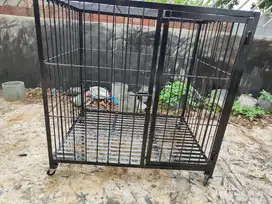 Kandang anjing ras besar