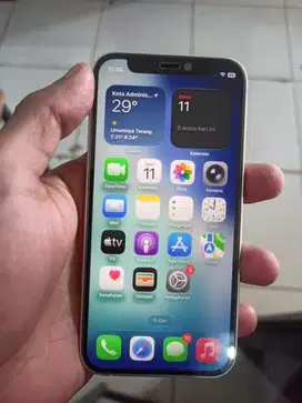 iPhone 12 Mini 64 Sim Lock