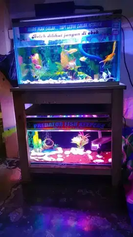 Di jaul tank aquarium