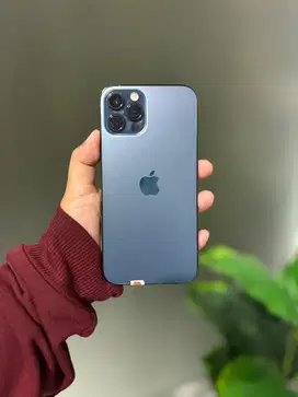 Iphone 12 pro 256gb ex inter beacukai